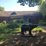 Wycieczka do zoo – razem odkrywamy świat! Niedawno przeżywaliśmy wyjątkowy... — image 3