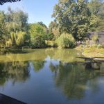 Wycieczka do zoo – razem odkrywamy świat! Niedawno przeżywaliśmy wyjątkowy... — image 5