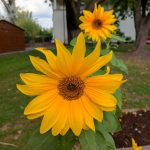 KrzysiekJa tu tylko tak zostawię. Mądry nie będzie ł cudzej... — image 2