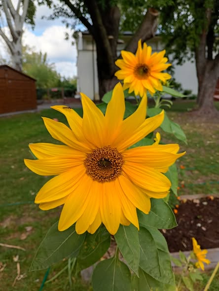 KrzysiekJa tu tylko tak zostawię. Mądry nie będzie ł cudzej…