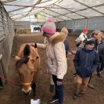 Wizyta w stadninie Fundacja Pomocy Młodzieży i Dzieciom Niepełnosprawnym "Hej,... — image 4