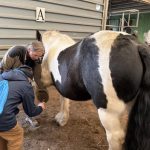 Wizyta w stadninie Fundacja Pomocy Młodzieży i Dzieciom Niepełnosprawnym "Hej,... — image 5