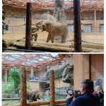 Nasza wycieczka do Łodzi była mega udana i pełna radości!... — image 6