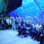 Nasza wycieczka do Łodzi była mega udana i pełna radości!... — image 3